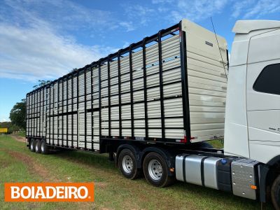 Mudança do Contran aumenta altura dos caminhões boiadeiros